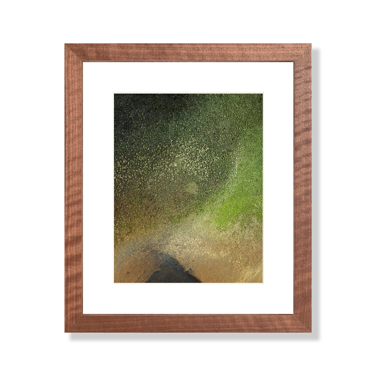 Pacific Coast Texture - One