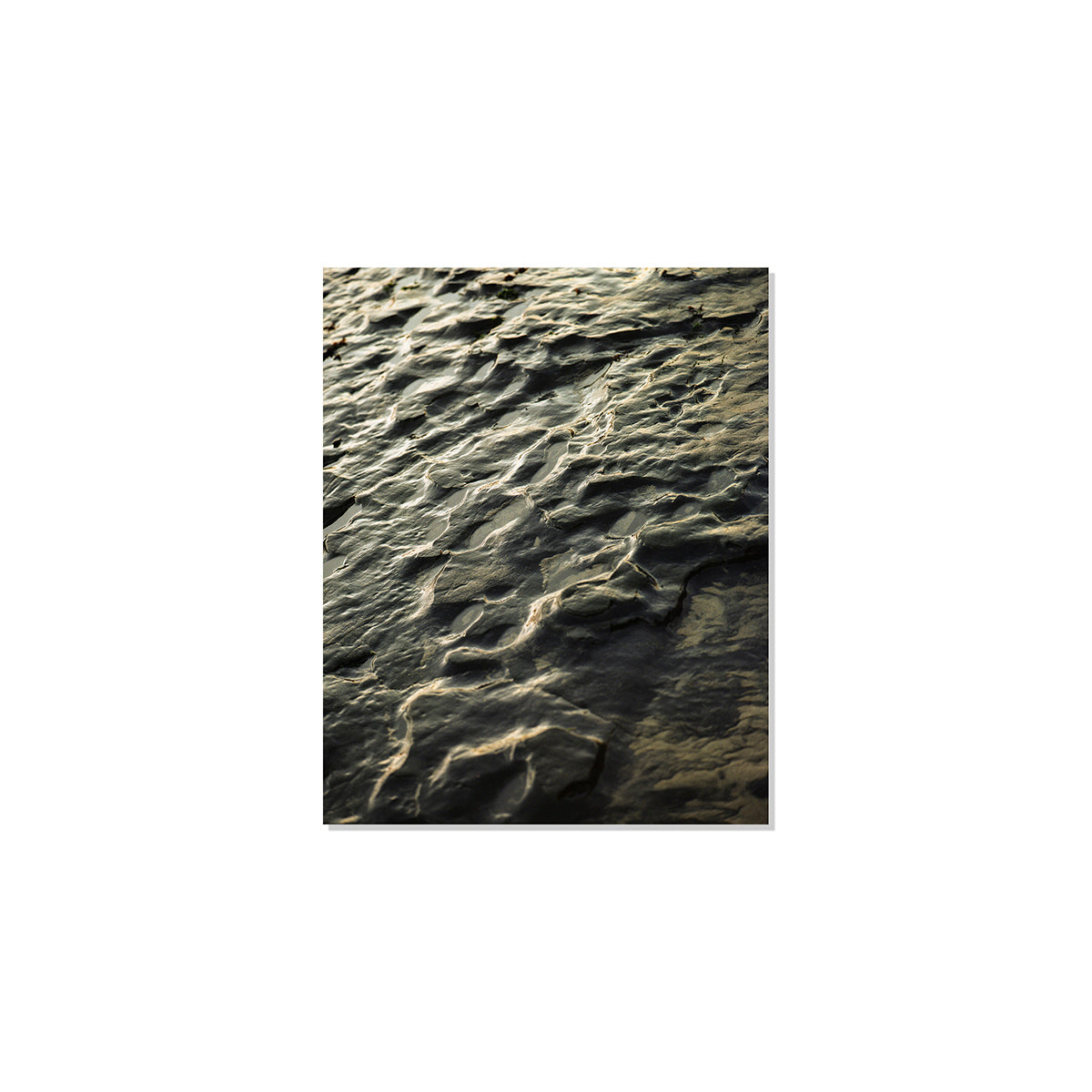 Pacific Coast Texture - Three