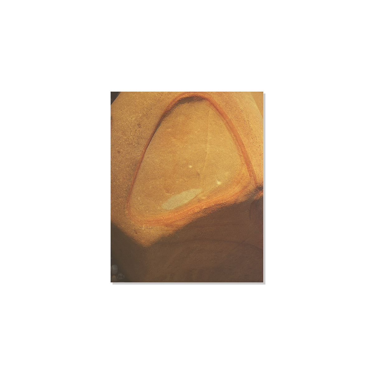 Pacific Coast Texture - Four