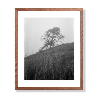 Mount Diablo 1 - California