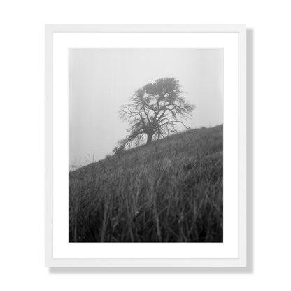 Mount Diablo 1 - California