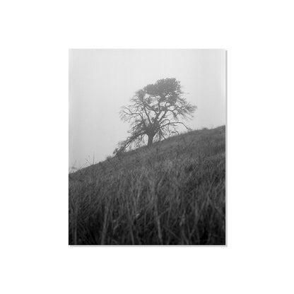 Mount Diablo 1 - California