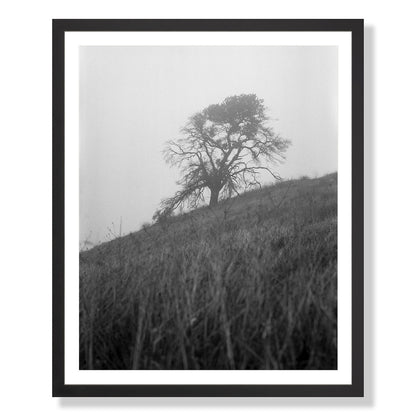 Mount Diablo 1 - California