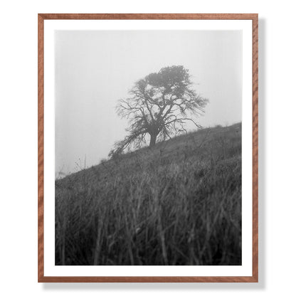 Mount Diablo 1 - California