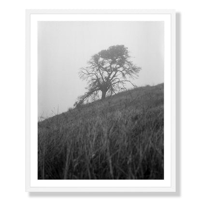 Mount Diablo 1 - California