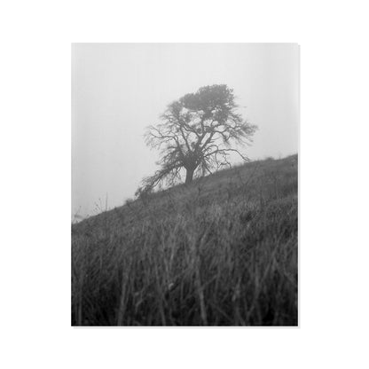 Mount Diablo 1 - California