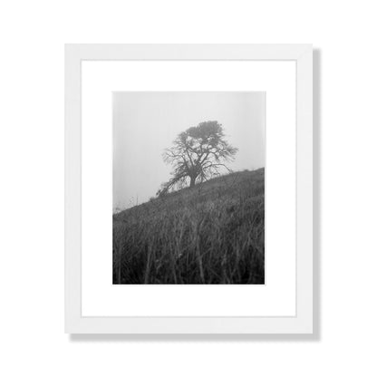 Mount Diablo 1 - California