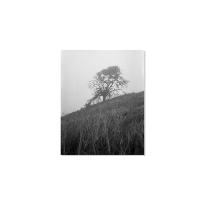 Mount Diablo 1 - California