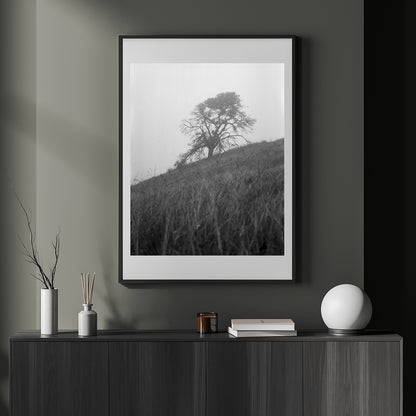 Mount Diablo 1 - California