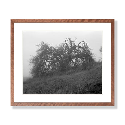 Mount Diablo 2 - California