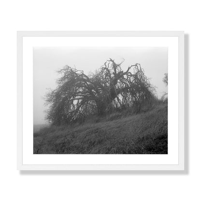 Mount Diablo 2 - California