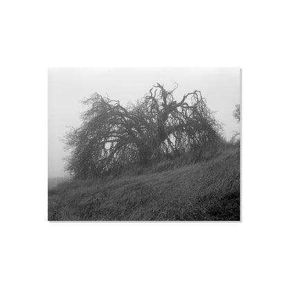 Mount Diablo 2 - California