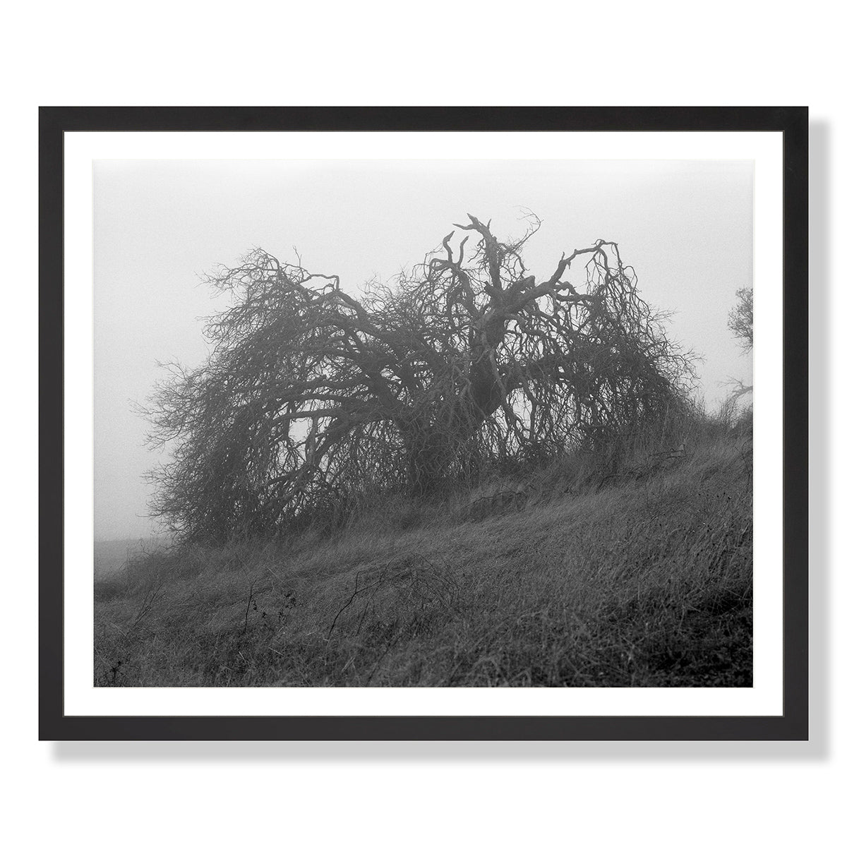 Mount Diablo 2 - California