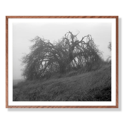 Mount Diablo 2 - California