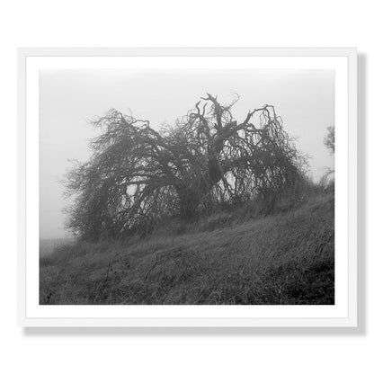 Mount Diablo 2 - California