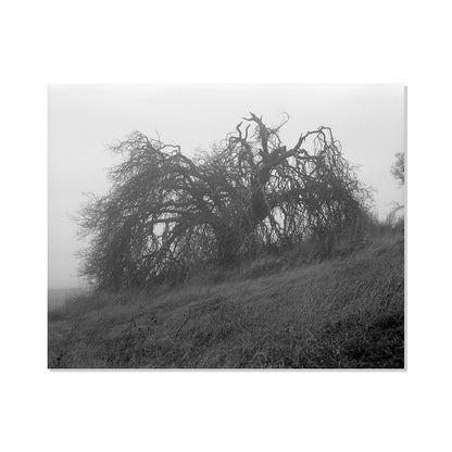 Mount Diablo 2 - California