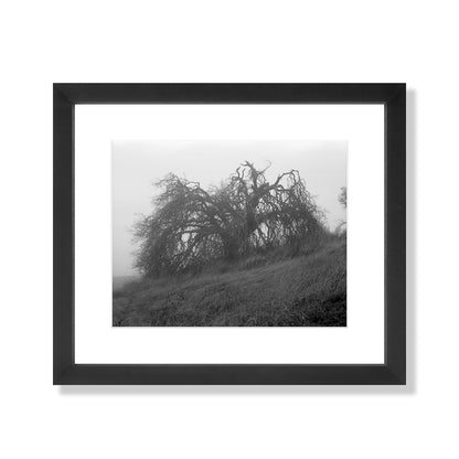 Mount Diablo 2 - California