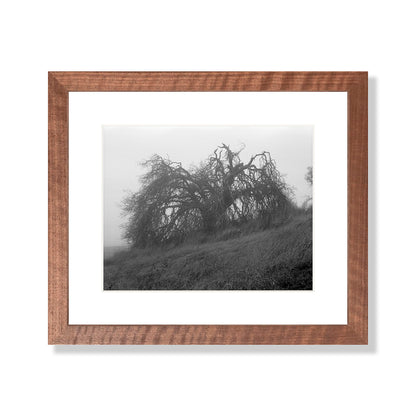 Mount Diablo 2 - California