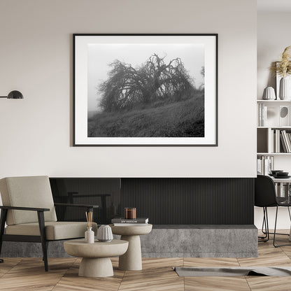 Mount Diablo 2 - California