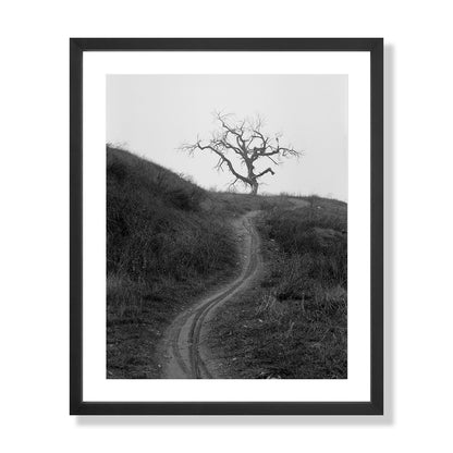 Mount Diablo 3 - California