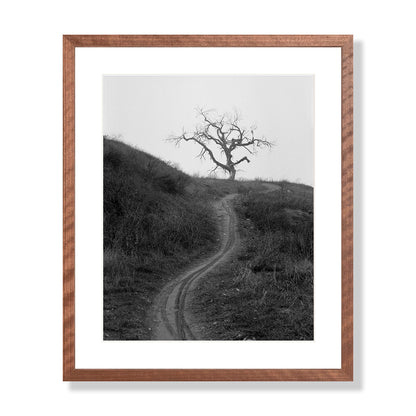 Mount Diablo 3 - California