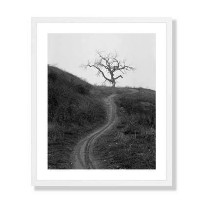 Mount Diablo 3 - California