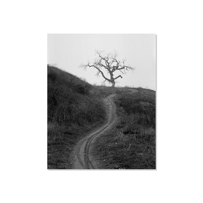 Mount Diablo 3 - California