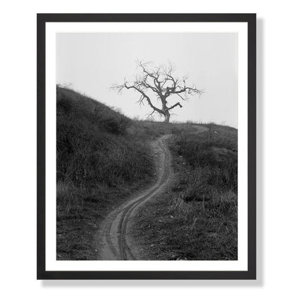 Mount Diablo 3 - California