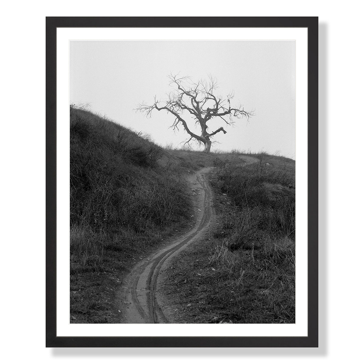 Mount Diablo 3 - California