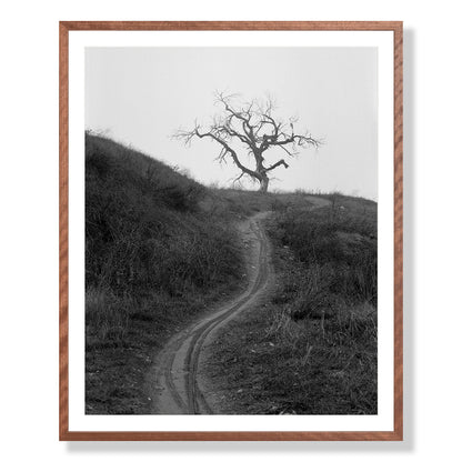 Mount Diablo 3 - California