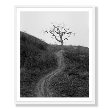 Mount Diablo 3 - California