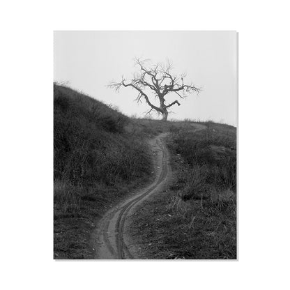 Mount Diablo 3 - California