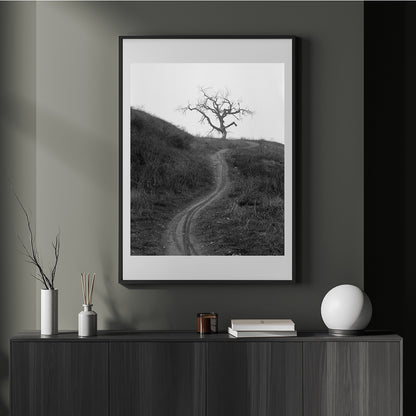 Mount Diablo 3 - California