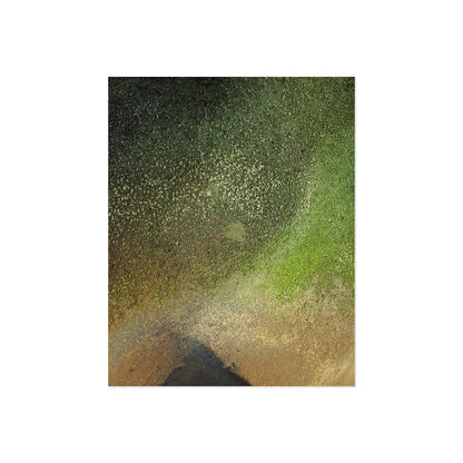 Pacific Coast Texture - One