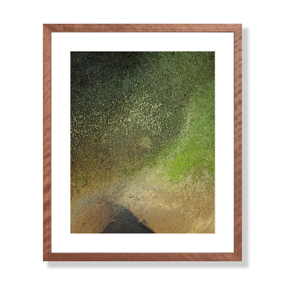 Pacific Coast Texture - One