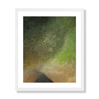 Pacific Coast Texture - One