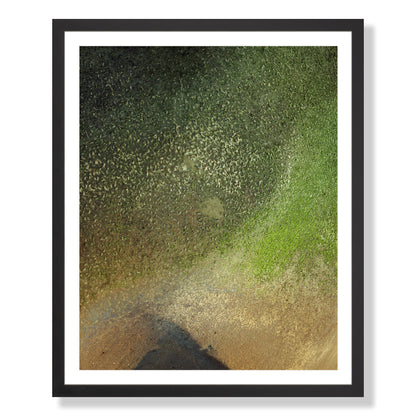 Pacific Coast Texture - One