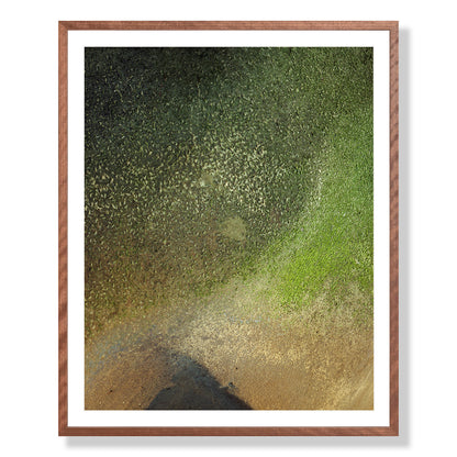 Pacific Coast Texture - One