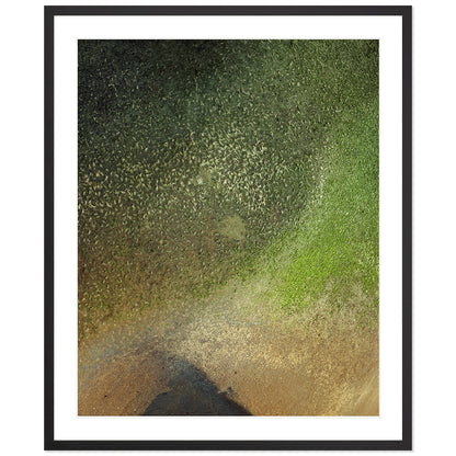 Pacific Coast Texture - One