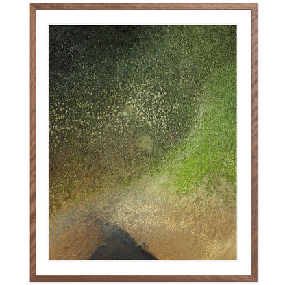 Pacific Coast Texture - One