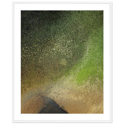 Pacific Coast Texture - One