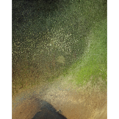 Pacific Coast Texture - One