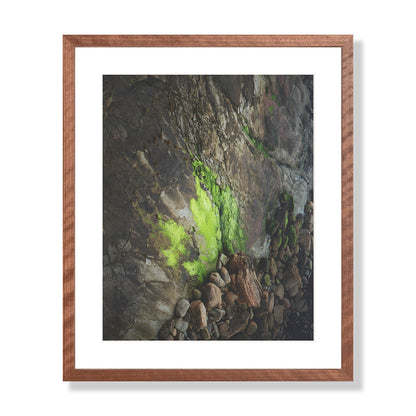 Pacific Coast Texture - Two