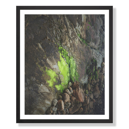 Pacific Coast Texture - Two