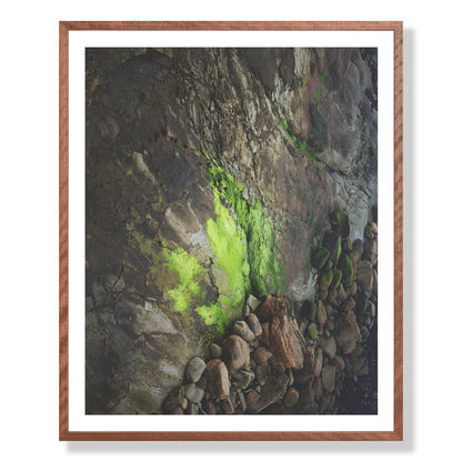 Pacific Coast Texture - Two