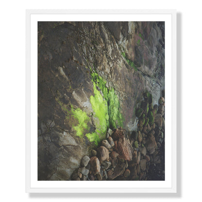 Pacific Coast Texture - Two