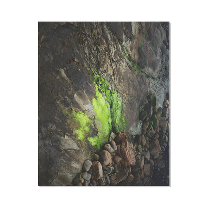 Pacific Coast Texture - Two