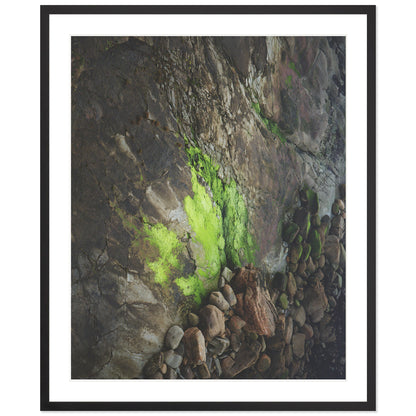 Pacific Coast Texture - Two