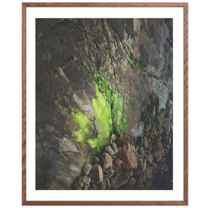 Pacific Coast Texture - Two