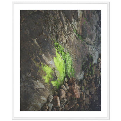 Pacific Coast Texture - Two